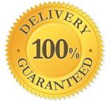 Courier Delivery Service Guaranteed Logo
